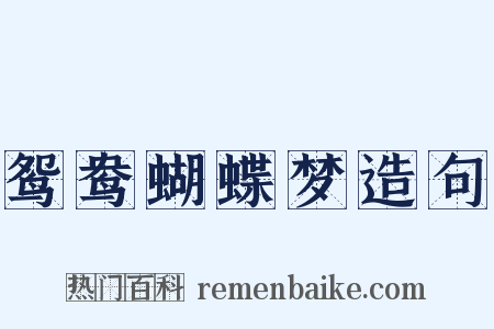 鸳鸯蝴蝶梦造句是什么意思的图片